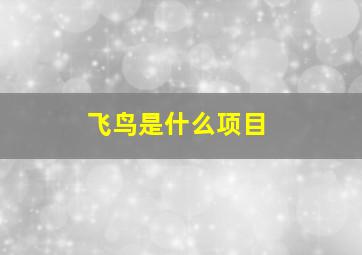 飞鸟是什么项目