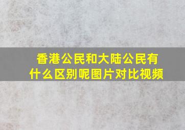 香港公民和大陆公民有什么区别呢图片对比视频