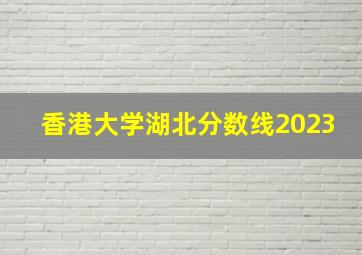 香港大学湖北分数线2023