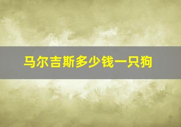 马尔吉斯多少钱一只狗