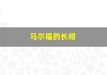 马尔福的长相