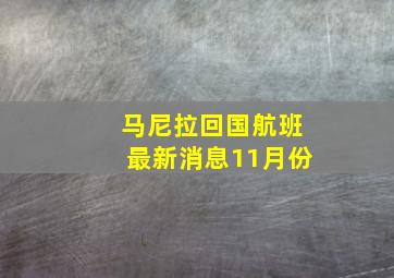 马尼拉回国航班最新消息11月份