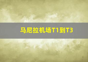 马尼拉机场T1到T3