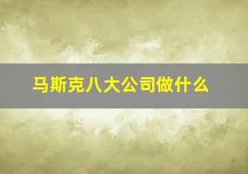 马斯克八大公司做什么