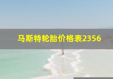 马斯特轮胎价格表2356