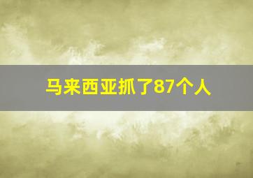 马来西亚抓了87个人