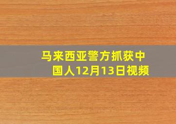 马来西亚警方抓获中国人12月13日视频