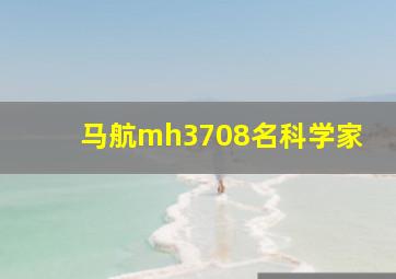 马航mh3708名科学家