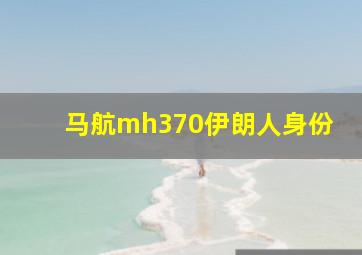 马航mh370伊朗人身份