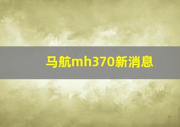 马航mh370新消息