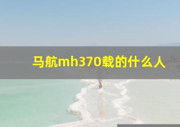 马航mh370载的什么人