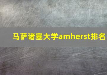 马萨诸塞大学amherst排名