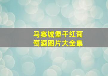 马赛城堡干红葡萄酒图片大全集