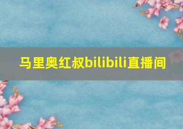 马里奥红叔bilibili直播间