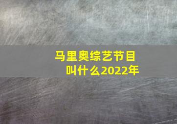 马里奥综艺节目叫什么2022年