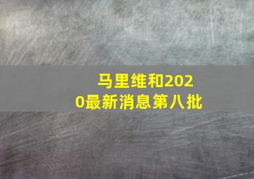 马里维和2020最新消息第八批