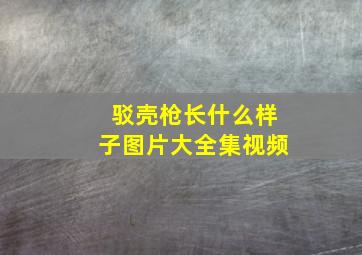 驳壳枪长什么样子图片大全集视频