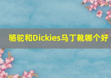 骆驼和Dickies马丁靴哪个好