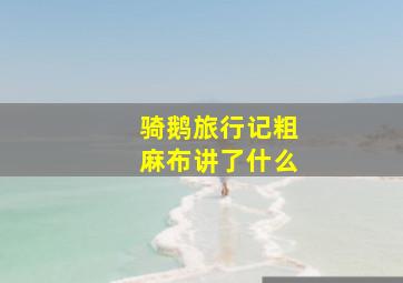 骑鹅旅行记粗麻布讲了什么