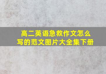 高二英语急救作文怎么写的范文图片大全集下册