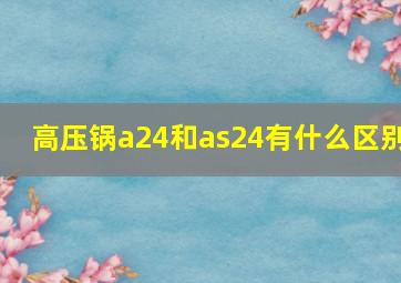 高压锅a24和as24有什么区别