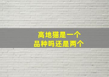 高地猫是一个品种吗还是两个