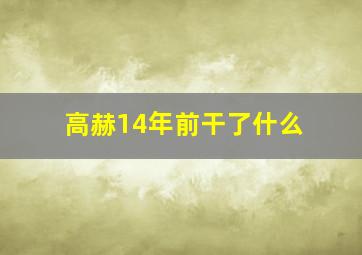 高赫14年前干了什么