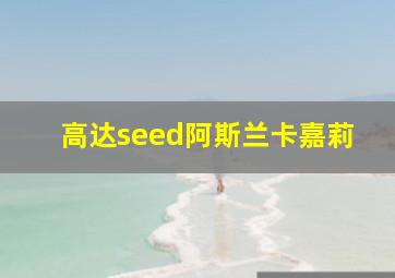 高达seed阿斯兰卡嘉莉