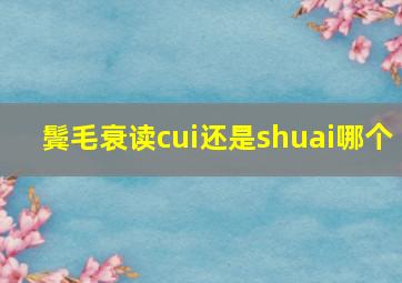 鬓毛衰读cui还是shuai哪个