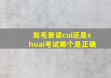 鬓毛衰读cui还是shuai考试哪个是正确