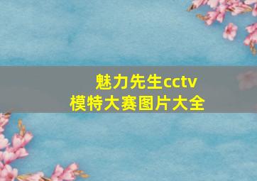 魅力先生cctv模特大赛图片大全