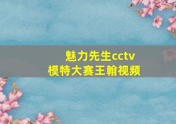 魅力先生cctv模特大赛王翰视频