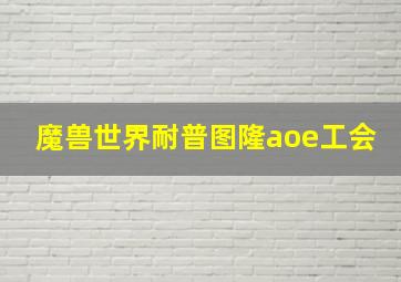 魔兽世界耐普图隆aoe工会