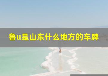 鲁u是山东什么地方的车牌