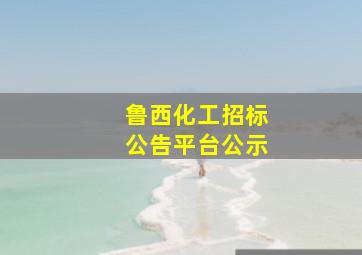 鲁西化工招标公告平台公示