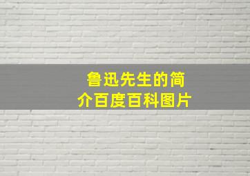 鲁迅先生的简介百度百科图片