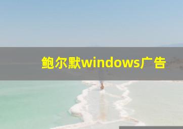 鲍尔默windows广告