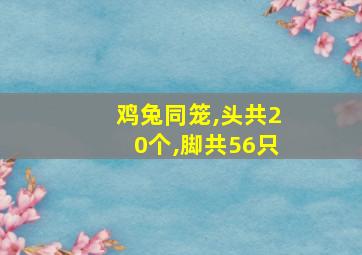 鸡兔同笼,头共20个,脚共56只