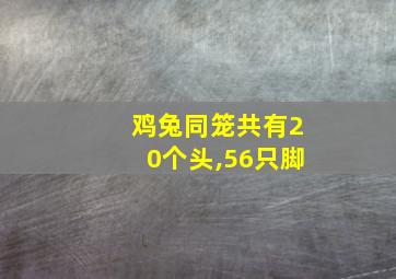 鸡兔同笼共有20个头,56只脚