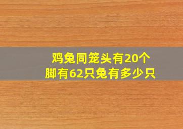 鸡兔同笼头有20个脚有62只兔有多少只