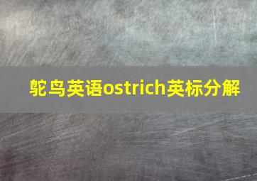 鸵鸟英语ostrich英标分解