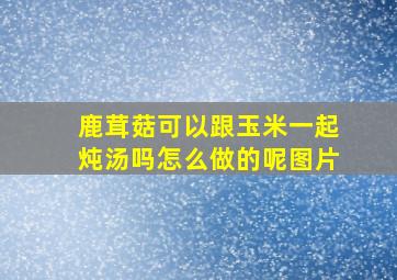 鹿茸菇可以跟玉米一起炖汤吗怎么做的呢图片