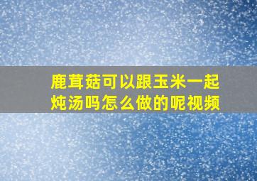 鹿茸菇可以跟玉米一起炖汤吗怎么做的呢视频