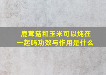 鹿茸菇和玉米可以炖在一起吗功效与作用是什么