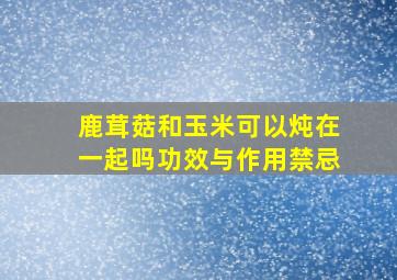 鹿茸菇和玉米可以炖在一起吗功效与作用禁忌