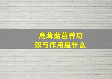 鹿茸菇营养功效与作用是什么