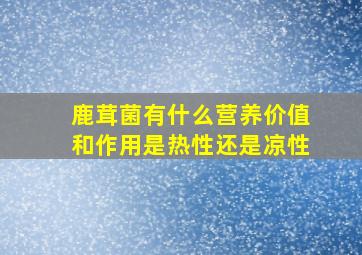 鹿茸菌有什么营养价值和作用是热性还是凉性