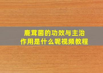 鹿茸菌的功效与主治作用是什么呢视频教程