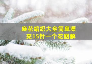 麻花编织大全简单漂亮15针一个花图解