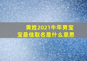 黄姓2021牛年男宝宝最佳取名是什么意思